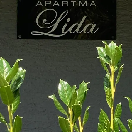Lida Apartment *
